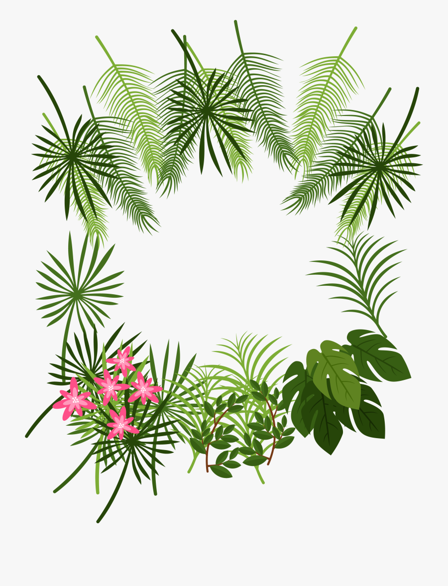 Transparent Palm Leaves Clipart - Tropical Leaf Borders Transparent, Transparent Clipart