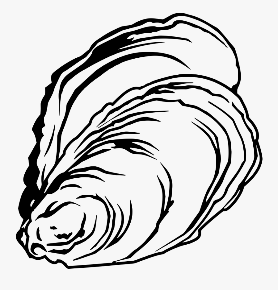 Clip Art Clip Art Free - Oyster Black And White, Transparent Clipart