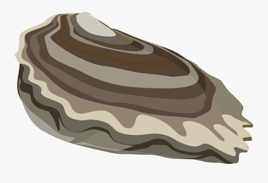 Clip Art Computer Icons Clam Mussel - Clipart Oyster Transparent Background...