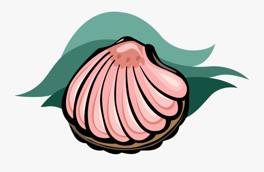 Oyster Clipart Mollusk - Png Vector Seashells Food, Transparent Clipart