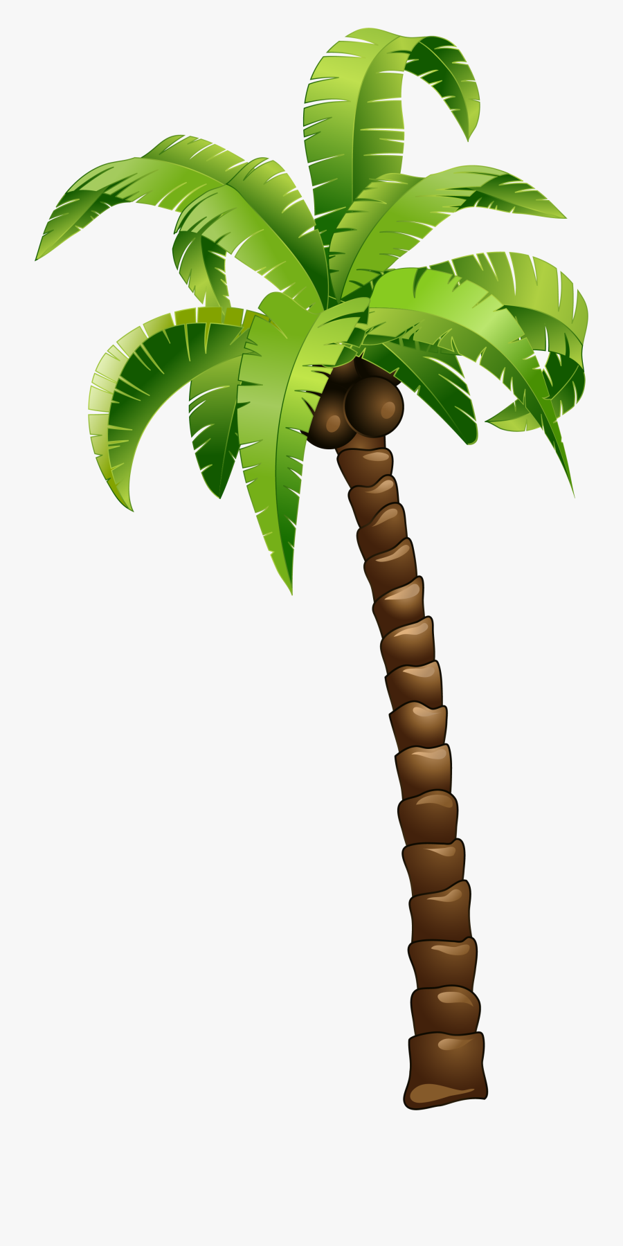 Cartoon Green Coconut Tree Clipart , Png Download - Cartoon Palm Tree Png, Transparent Clipart