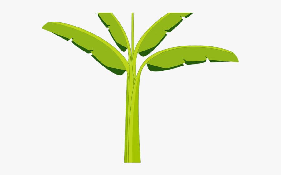 Leaf Clipart Banana Tree - Banana Trunk Clip Art, Transparent Clipart