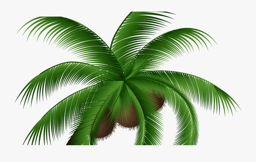 Coconut Clipart Coconet - Coconut Tree Vector Png, Transparent Clipart