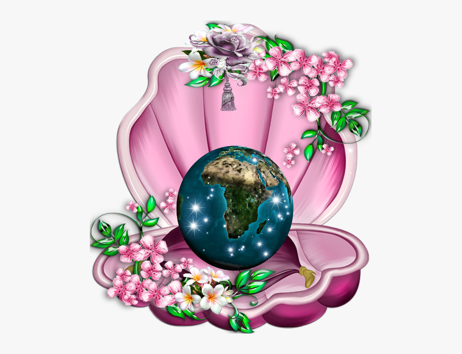 Transparent Oyster Shell Clipart - Mollusc Shell, Transparent Clipart