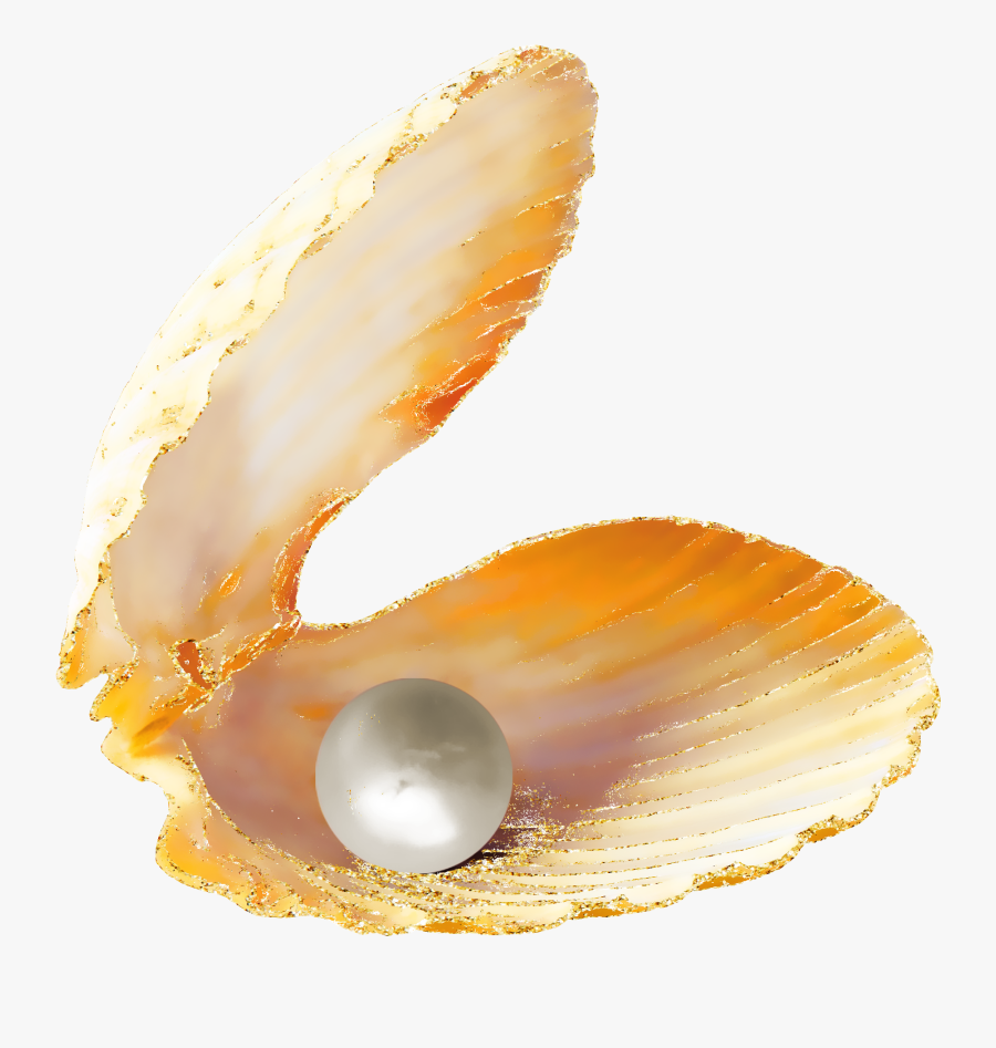 Jpg Royalty Free Download Seashell Slanted Beautiful - Pearl Png Hd, Transparent Clipart