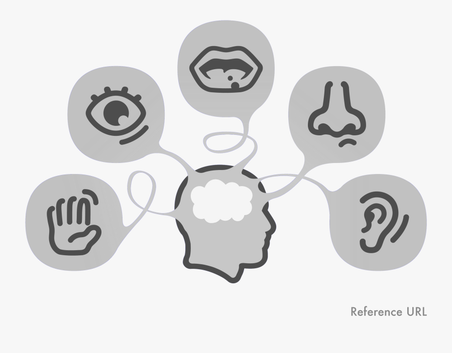 Sense Of Smell Clipart Black And White - Situational Awareness Icon, Transparent Clipart