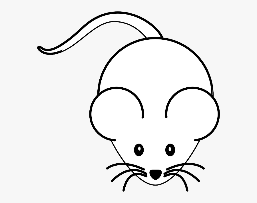 Mouse-303588 - Transparent Background White Mouse Clipart, Transparent Clipart