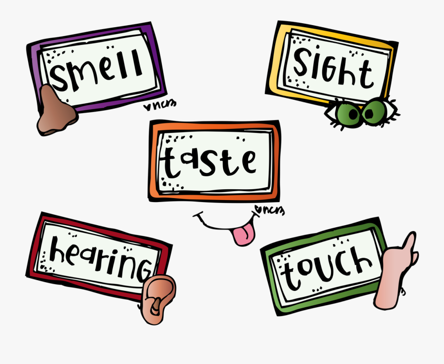 Escuchar Saborear Oler Ver En Ingles, Transparent Clipart