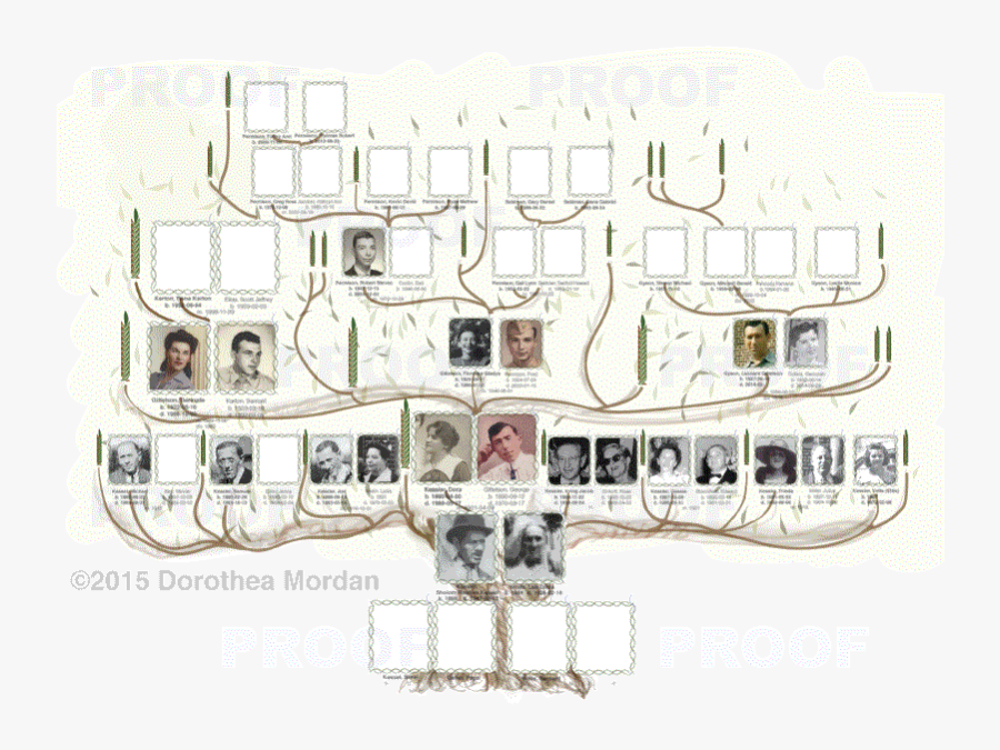 Menorah Tree Sample - Padel Pro Tour, Transparent Clipart