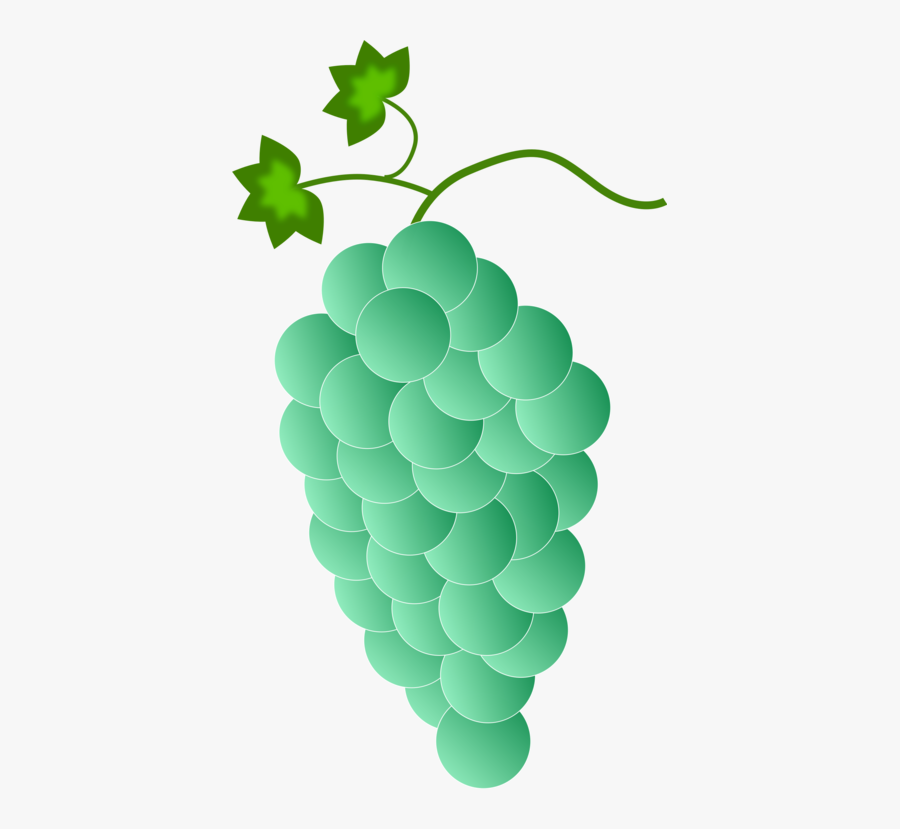 Plant,grape,grapevine Family - Purple Grapes, Transparent Clipart