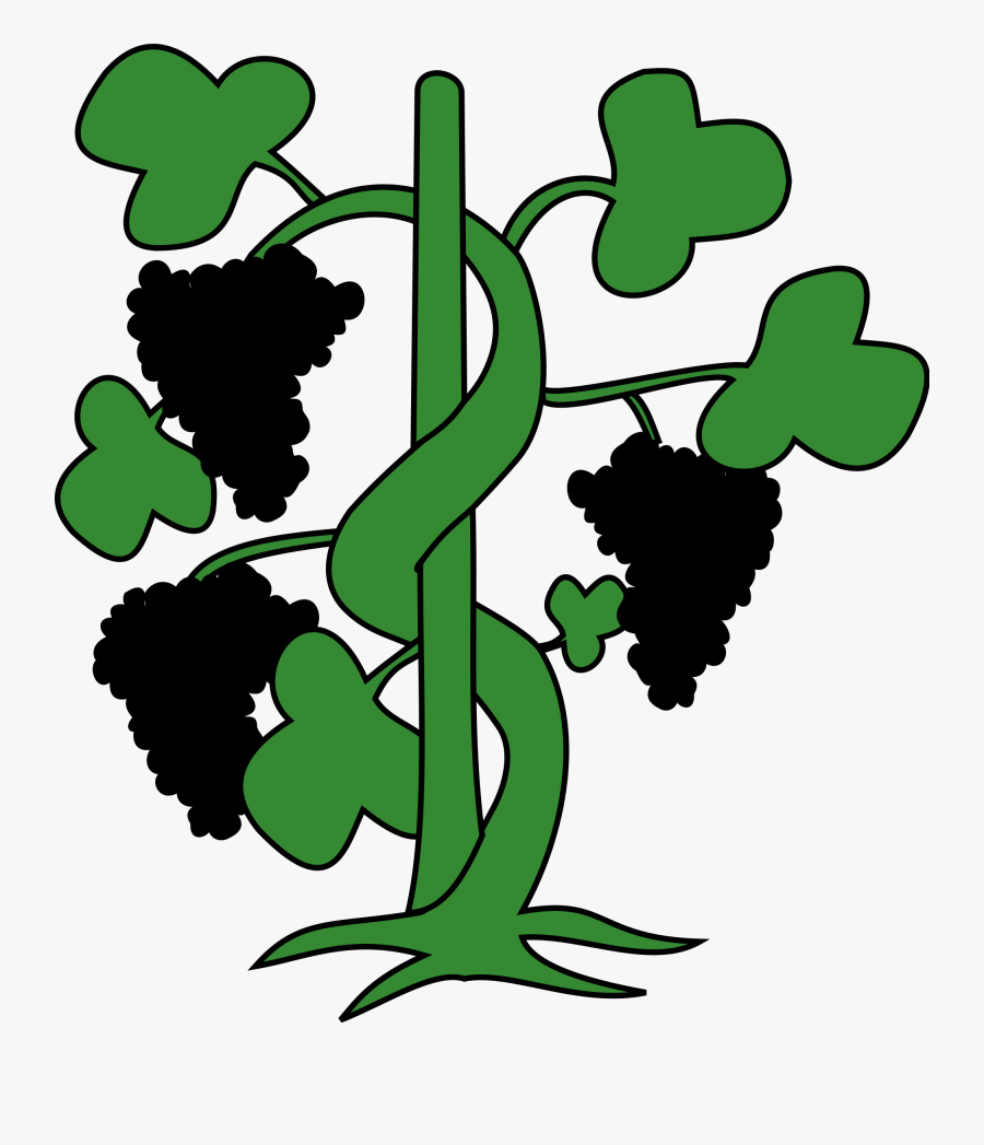 File H Raldique Meuble - Climbers Plant Clip Art, Transparent Clipart