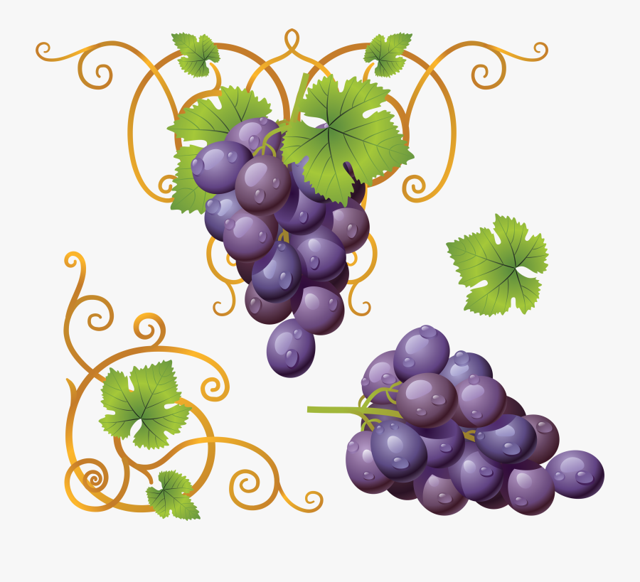 Wine Glass Grapes Icon, Transparent Clipart