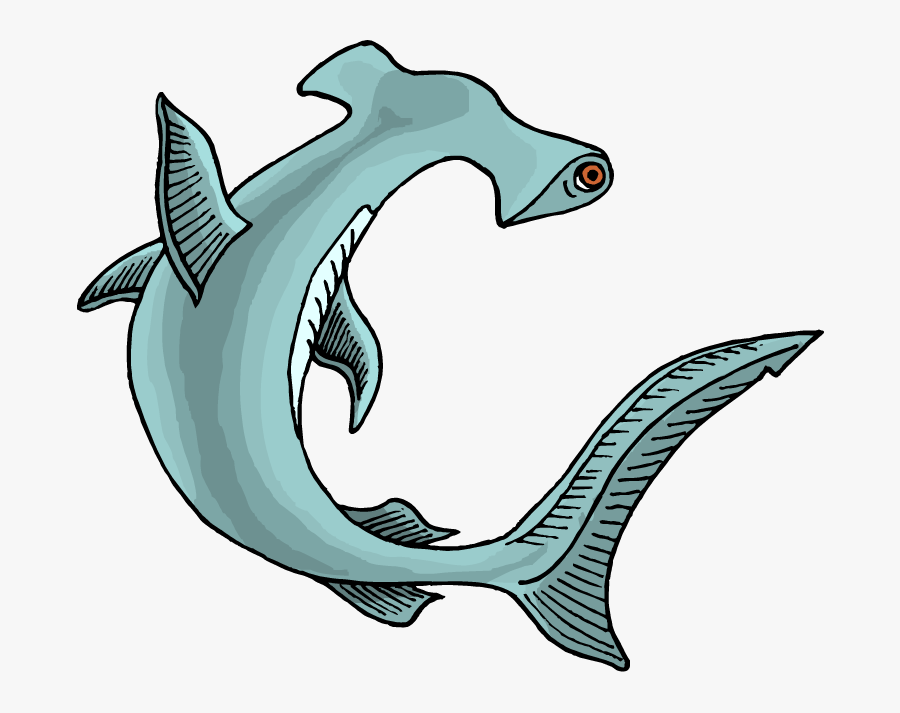 Hammer Head Shark Art, Transparent Clipart