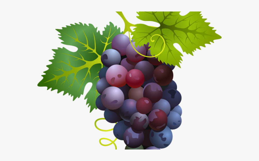 Grapes Nutritional Value, Transparent Clipart