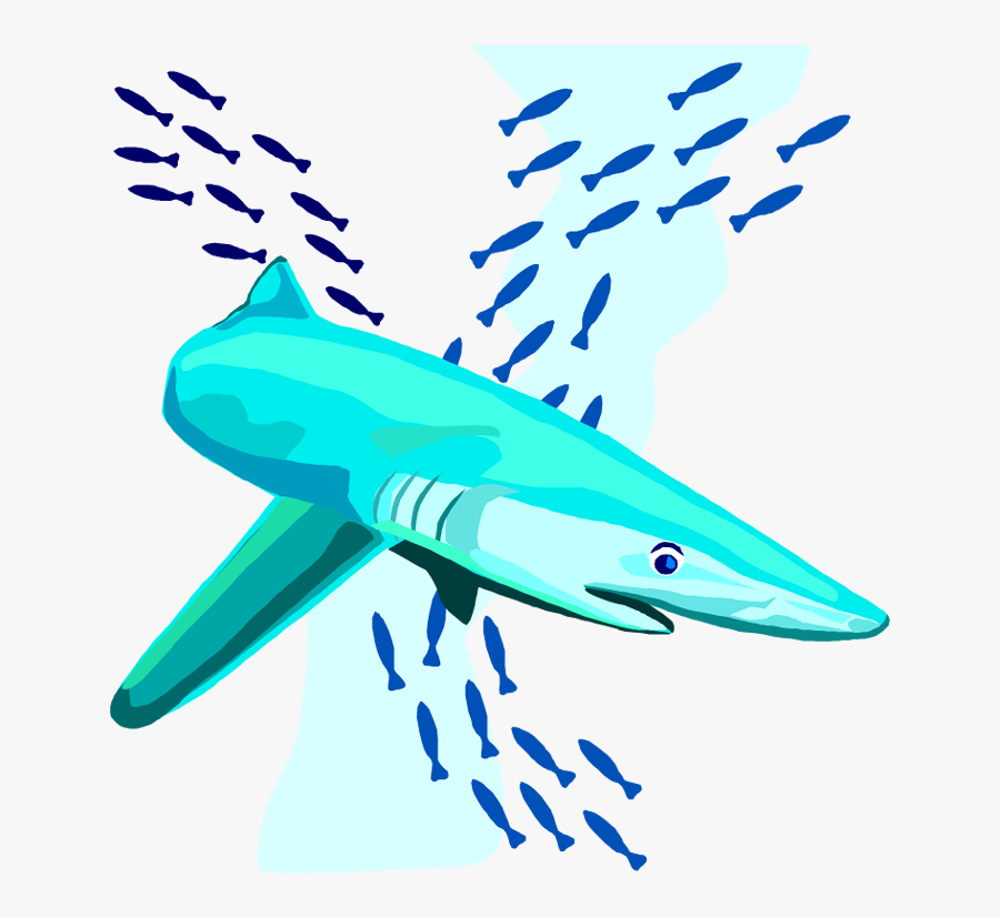 Free Shark Clipart - Clip Art, Transparent Clipart