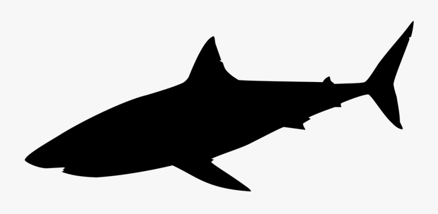 Transparent Sharks Clipart - Shark Silhouette Clipart, Transparent Clipart