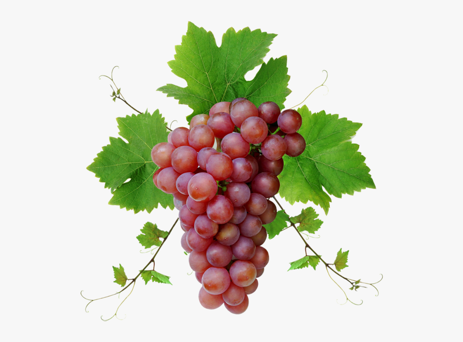 Grape Png, Transparent Clipart