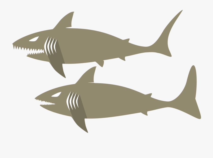 Marine Biology,shark,fin - Hvithai Tegning Png, Transparent Clipart