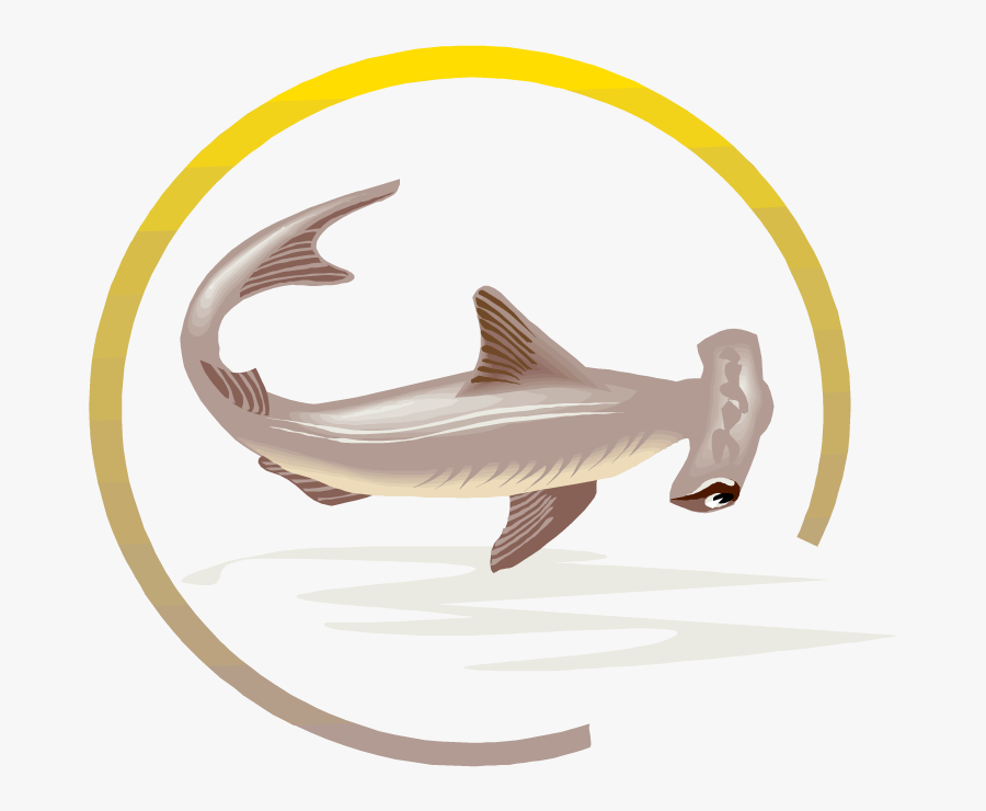 Free Shark Clipart - Marine Mammal, Transparent Clipart