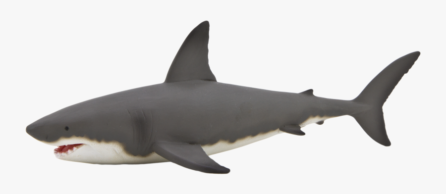 Sharks Png Images Free Download - Great White Shark Clipart Png, Transparent Clipart