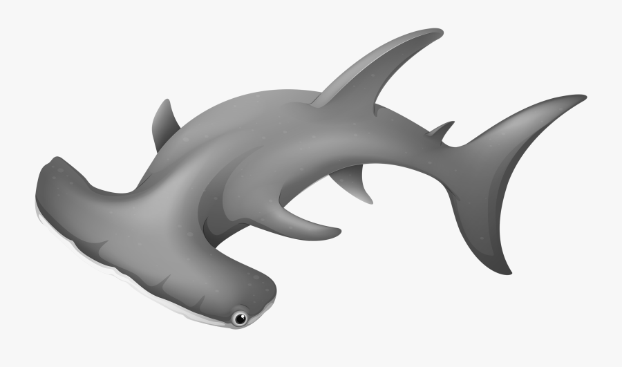 Hammerheadshark Png Clipart - Hammer Head Shark Clip Art, Transparent Clipart