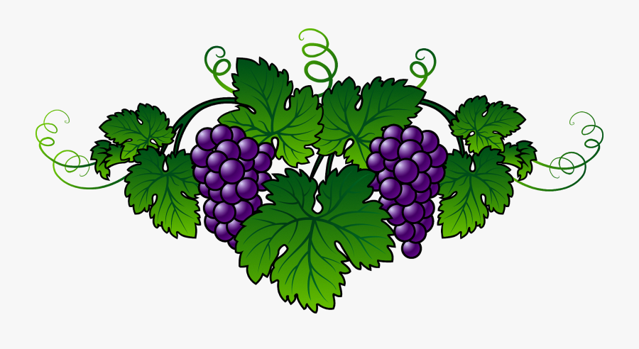 Grapevines Clipart, Transparent Clipart