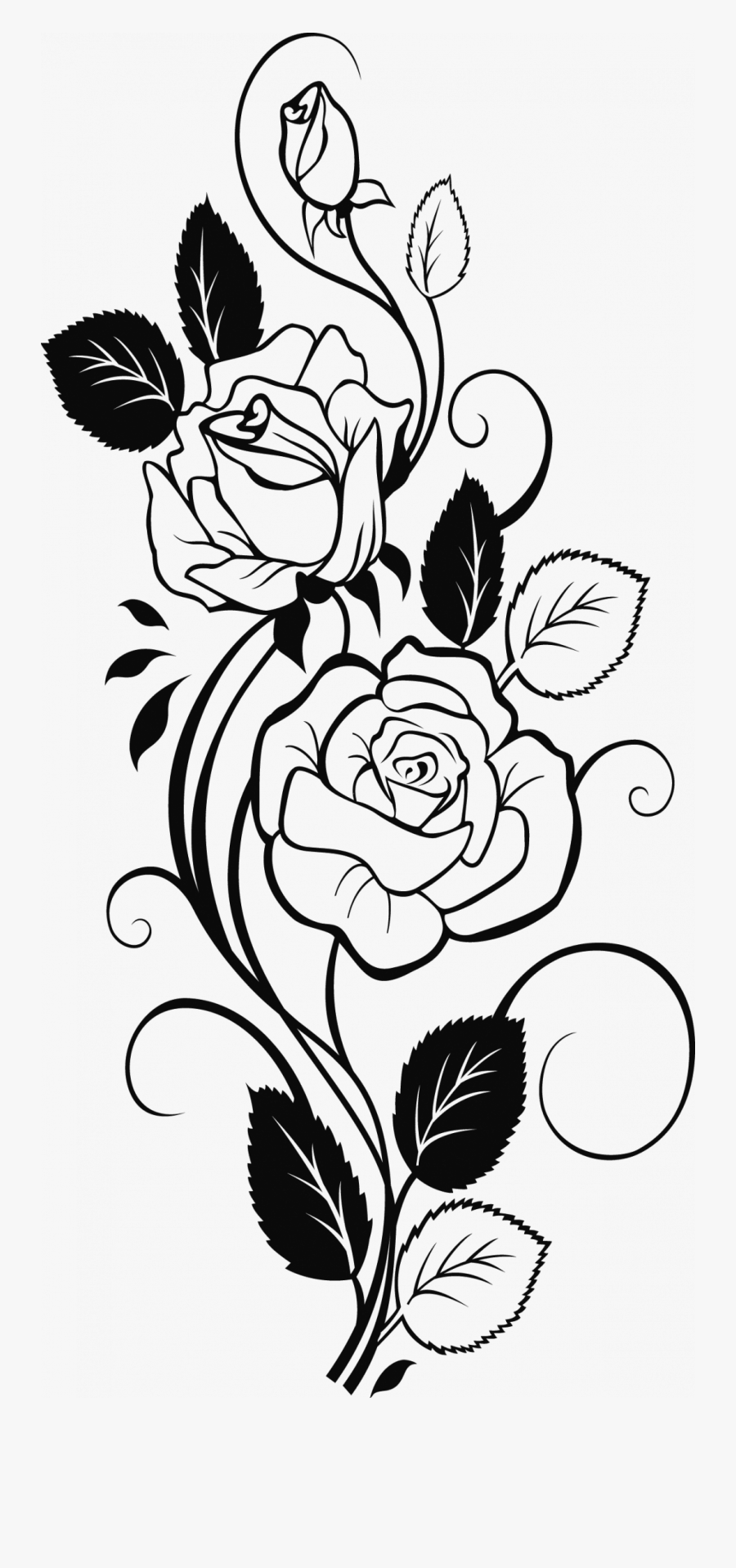 Rose Flower Sketch Designs, Transparent Clipart