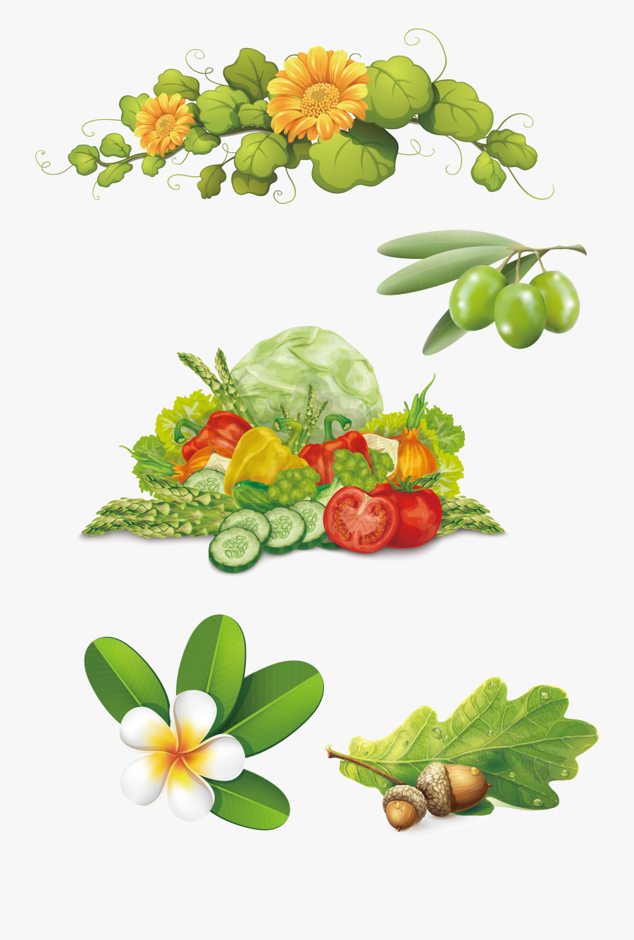 Clip Art - Vectors Png Nut Seed Vector Nuts Png, Transparent Clipart