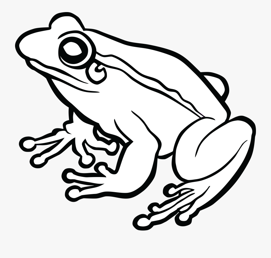 Frog Black And White Png, Transparent Clipart