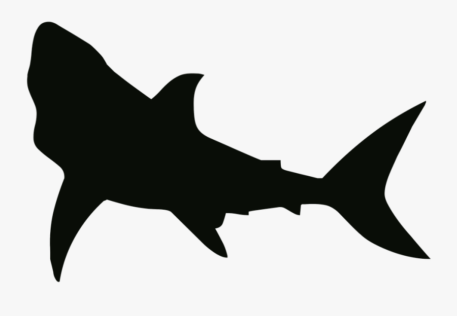 Shark Black And White Shark Free Pictures On Pixabay - Shark Stencil, Transparent Clipart
