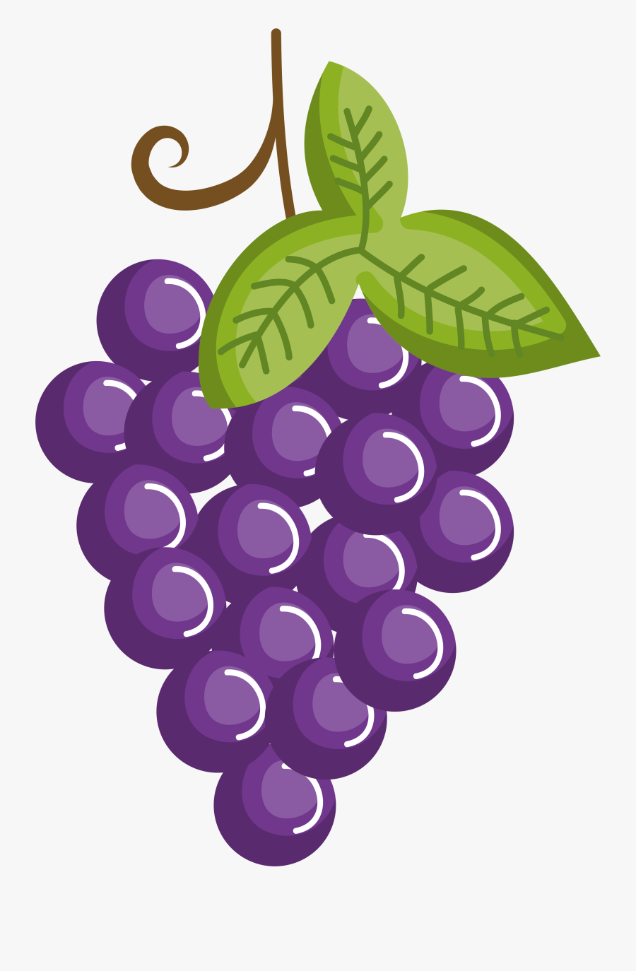Clip Art Cartoon Grape - Cartoon Grapes Drawing, Transparent Clipart