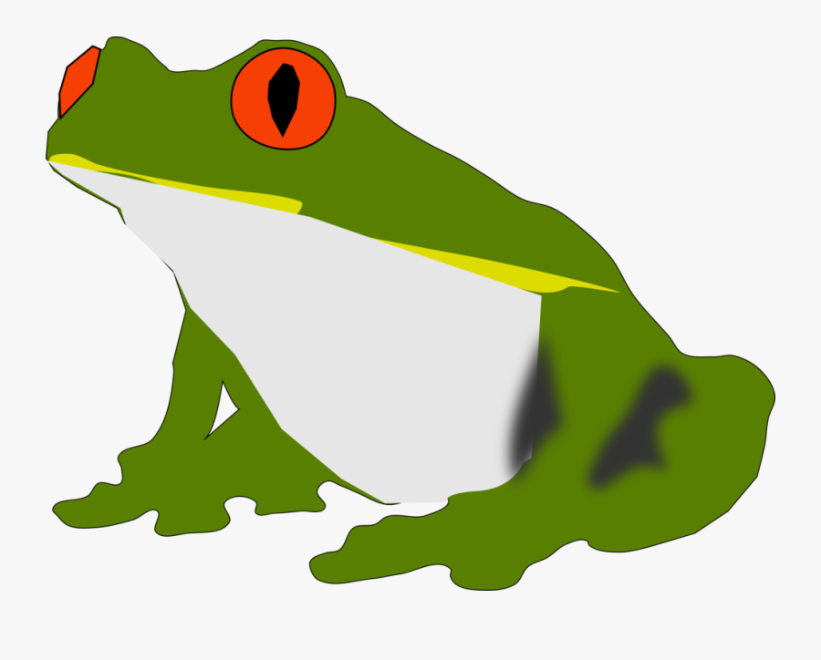 Line,grass,toad - สัตว์ น้ำ ครึ่ง บก ครึ่ง น้ำ การ์ตูน, Transparent Clipart