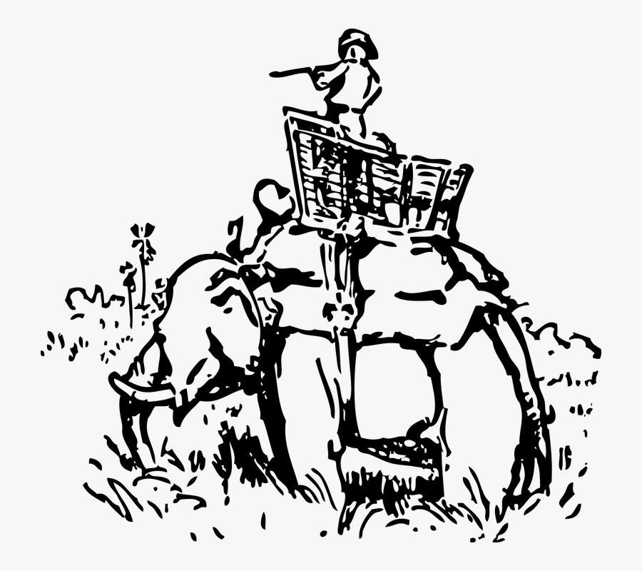 Elephant, Man, Riding, Hunting, Hunter, Africa, Shoot - Elephant Riding By Man Drawing, Transparent Clipart