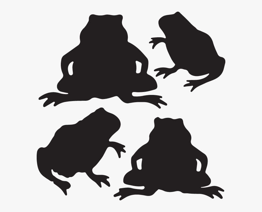 Toad, Transparent Clipart