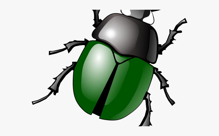 Beetle Clipart, Transparent Clipart