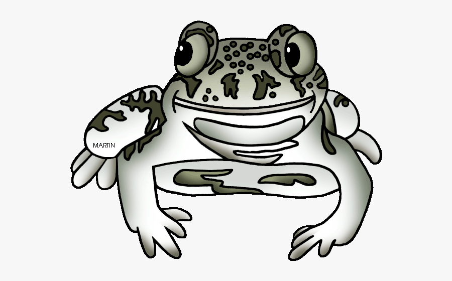 New Mexico State Amphibian Spadefoot Toad - Spadefoot Toad Png, Transparent Clipart