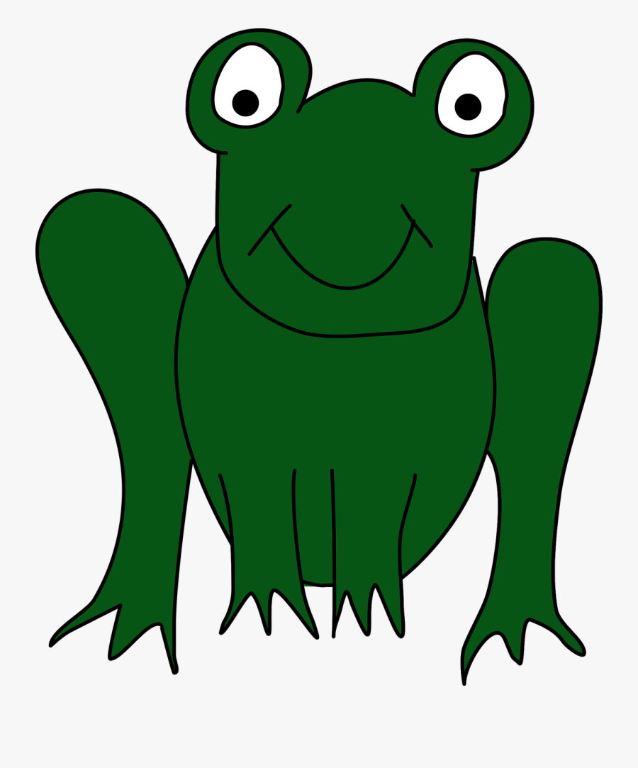 Frog Toad Animal - Frog Clipart, Transparent Clipart