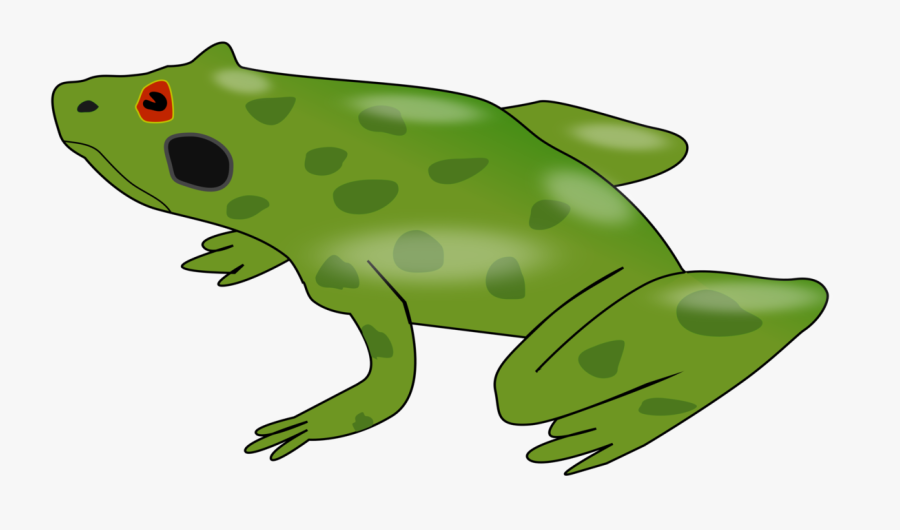 Toad - Portable Network Graphics, Transparent Clipart