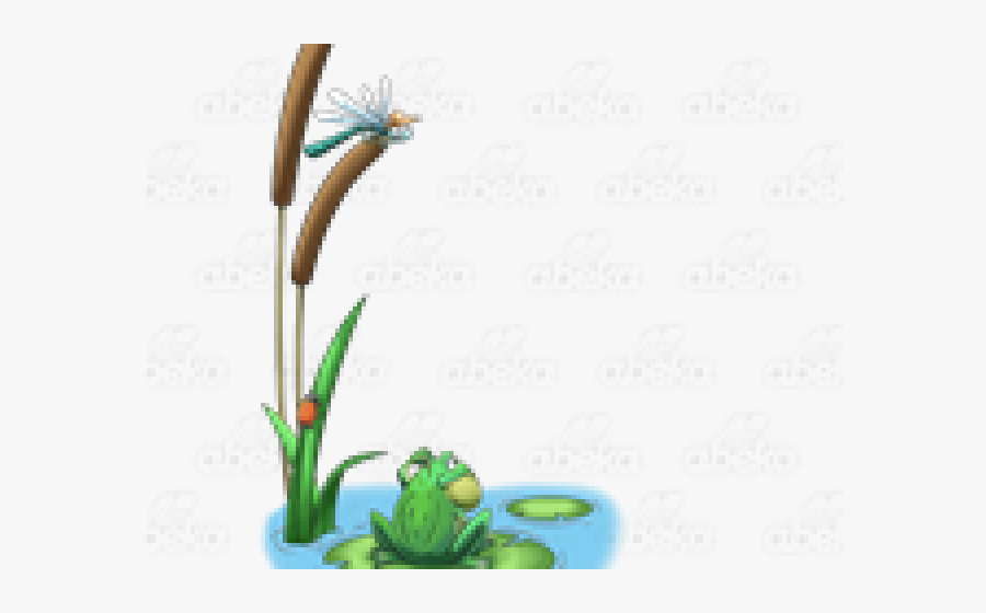 Transparent Frog In Pond Clipart - Toad, Transparent Clipart