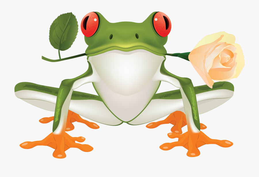Frog,tree Frog,clip Art,true Frog,hyla,shrub Frog,toad,cartoon,gray - Clip Art Tree Frog, Transparent Clipart