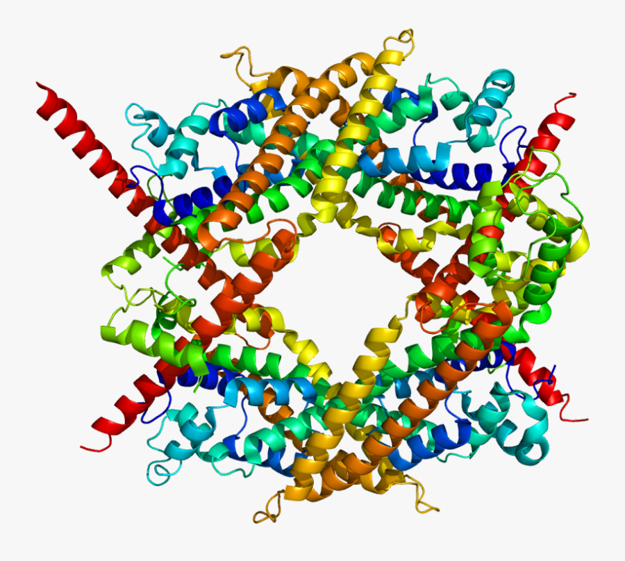 Protein Diaph1 Pdb 1v9d, Transparent Clipart