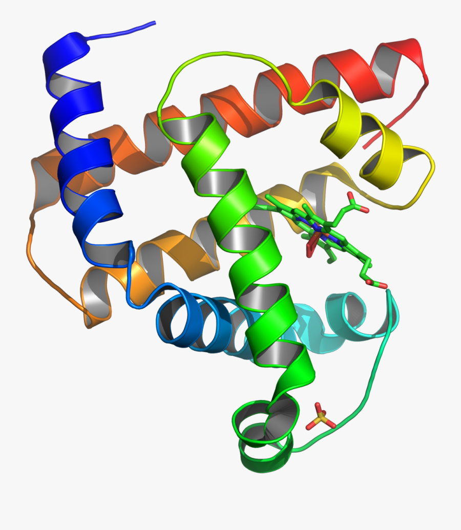 Image Black And White Stock An Operating Room As - Estructura Terciaria De Las Proteinas, Transparent Clipart