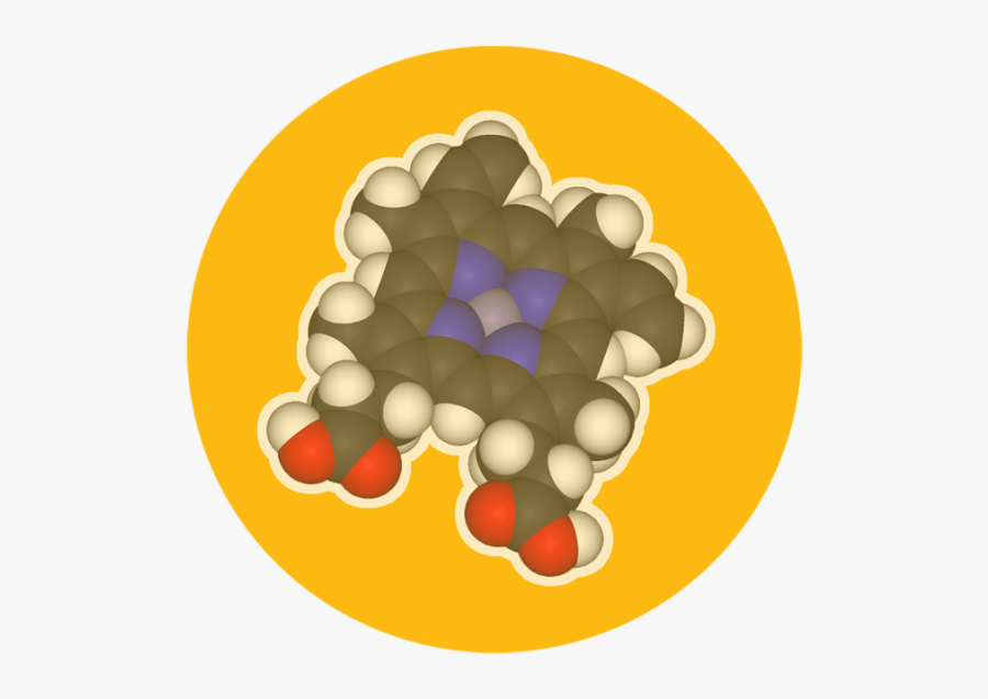 Svg Royalty Free Download Protein Clipart Red Meat - Haem, Transparent Clipart