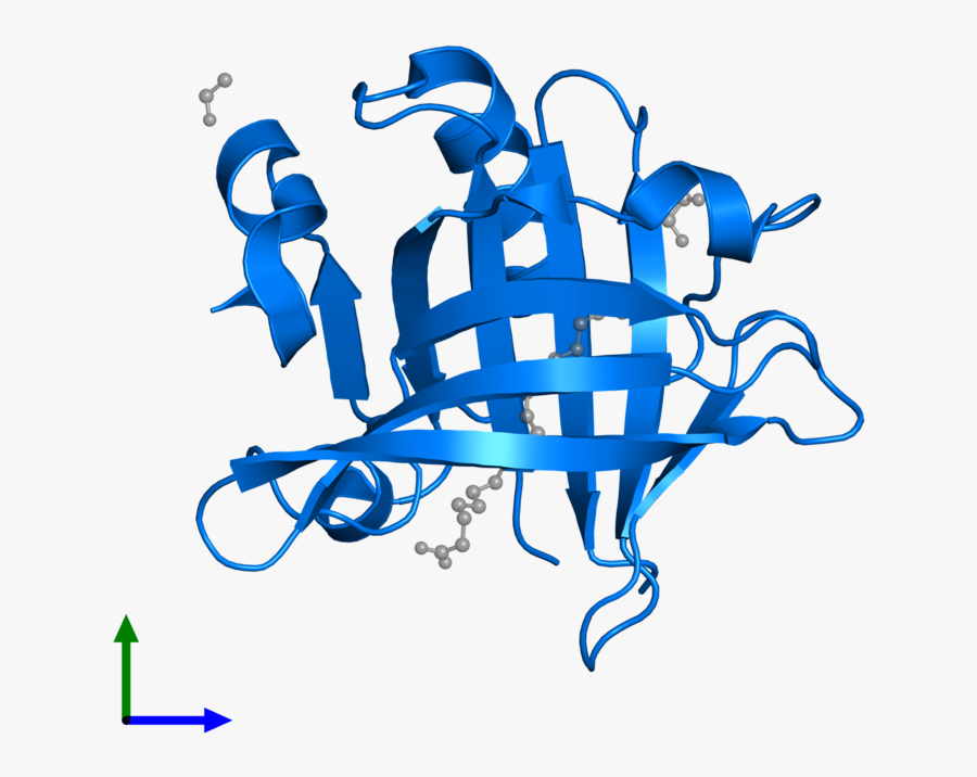 Protein Svg, Transparent Clipart