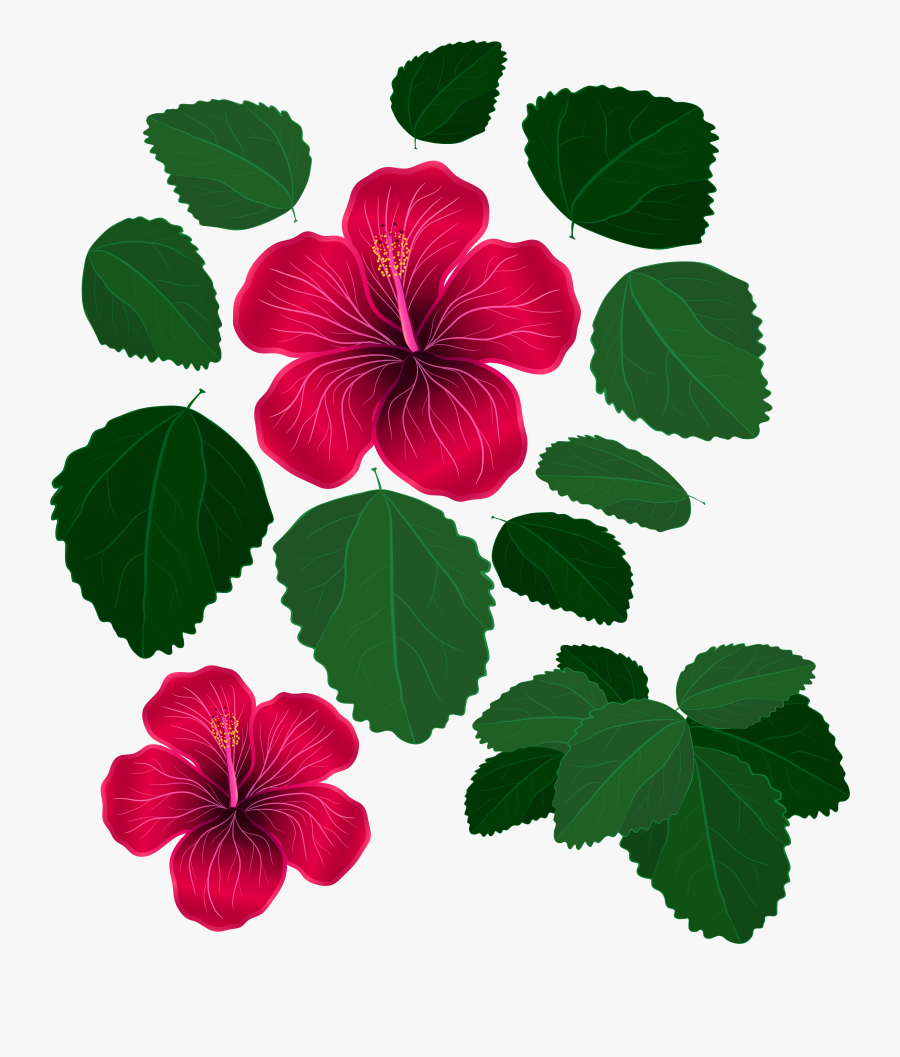 Flowers And Leaves Clipart, Transparent Clipart
