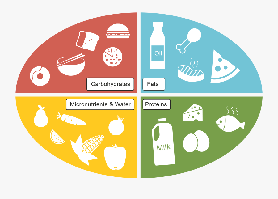 Graphic Freeuse Carbohydrate Drawing Protein Food - Carbs Protein Fats Clipart, Transparent Clipart