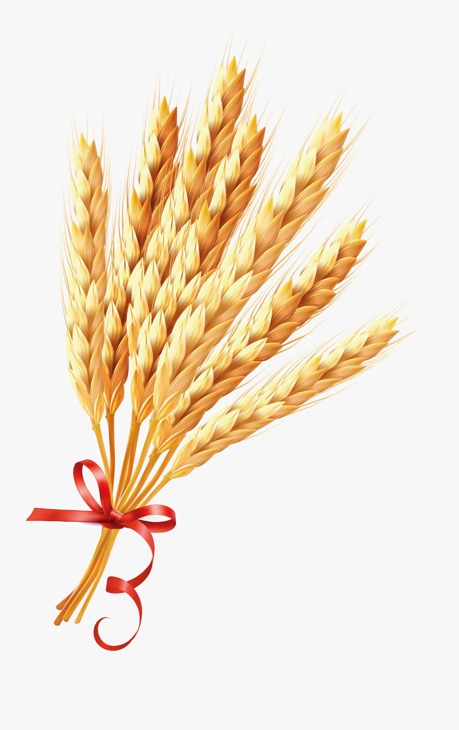 Wheat Png, Transparent Clipart