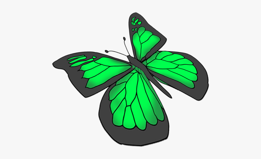 Transparent Background Butterfly Hd Transparent, Transparent Clipart