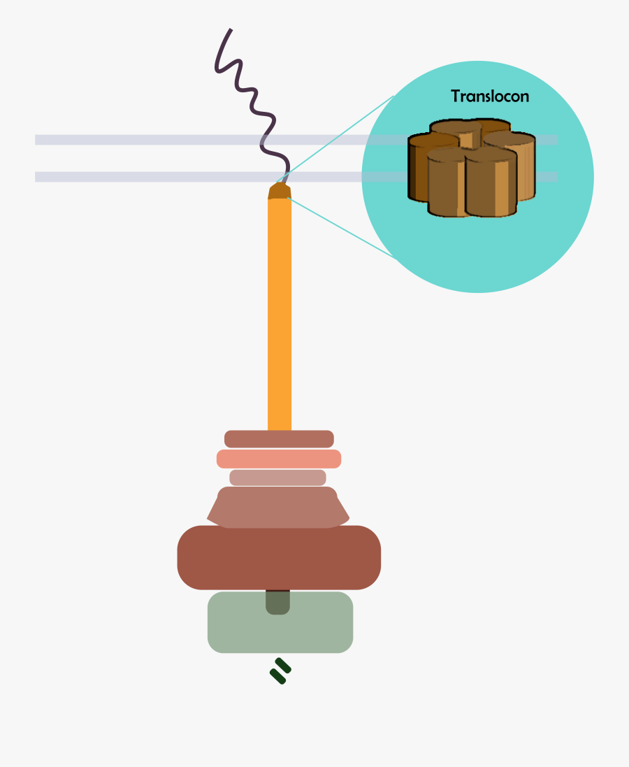 Illustration, Transparent Clipart