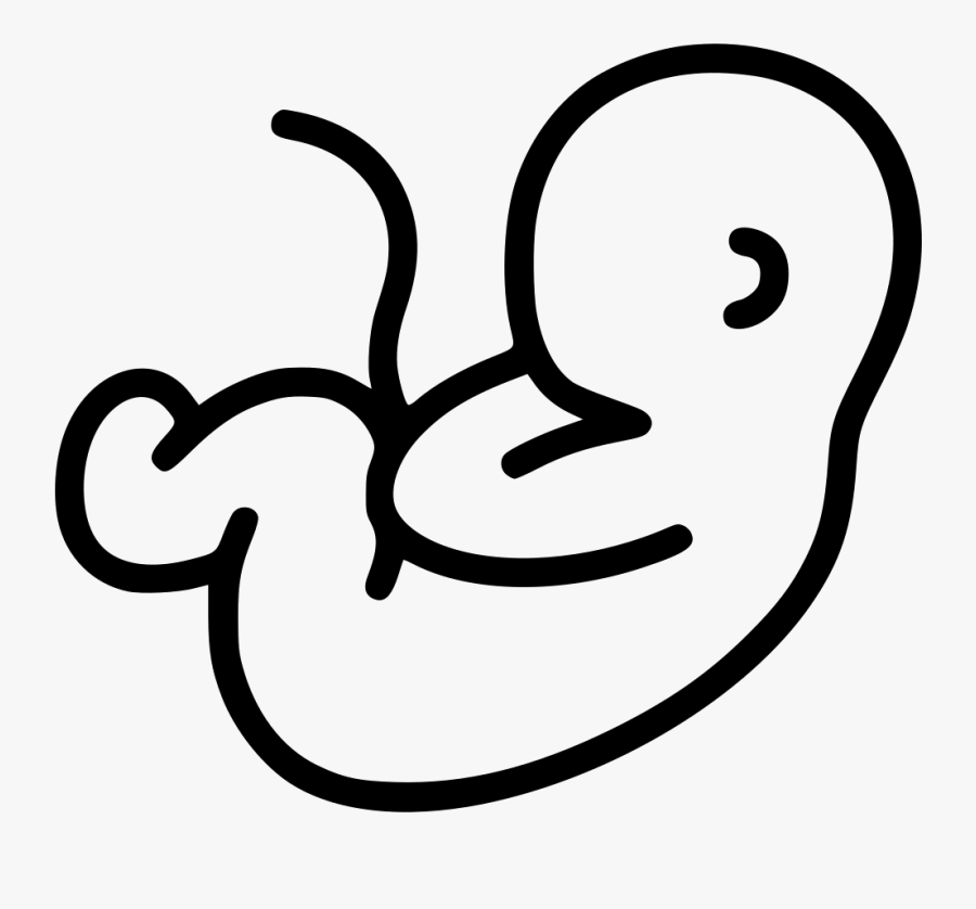 Transparent Embryo Clipart - Pregnancy Png, Transparent Clipart